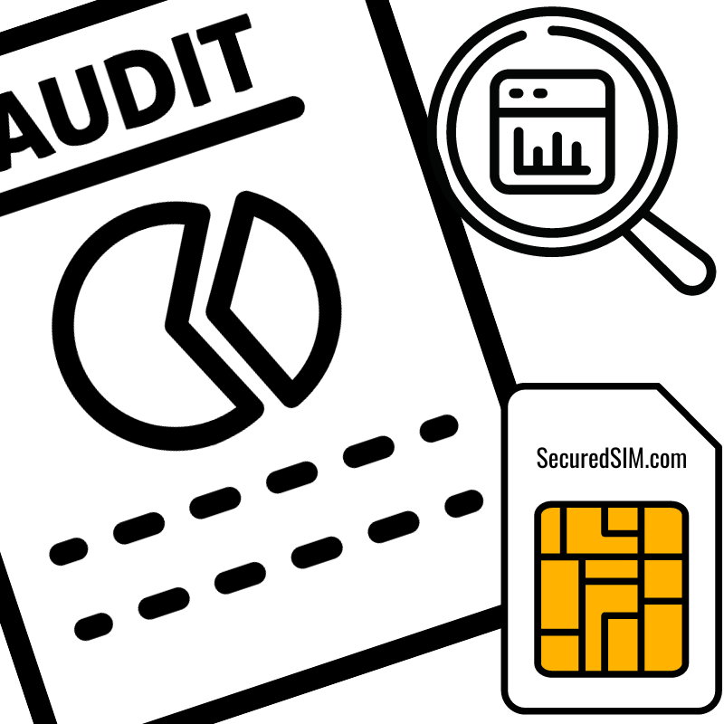 Mobile Audit